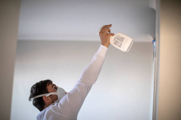 Lady Lake, FL Mold Removal Company